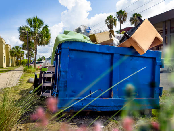 Basement Cleanout Services in Snowflake, AZ